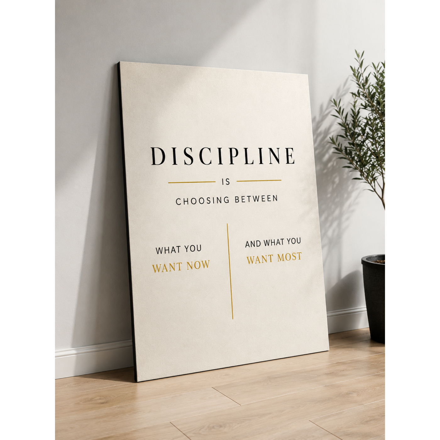 Discipline